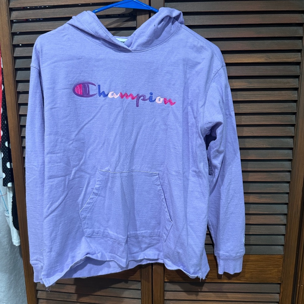 Purple Champion light-weight hoodie, size small.
